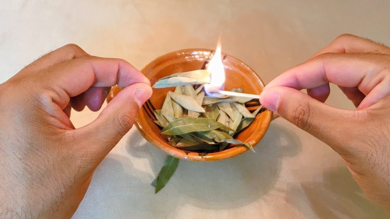 QUEMA HOJAS DE LAUREL EN TU CASA Y NEGOCIO Y Y VERAS SU GRAN PODER GARANTIZADO Y EFECTIVO