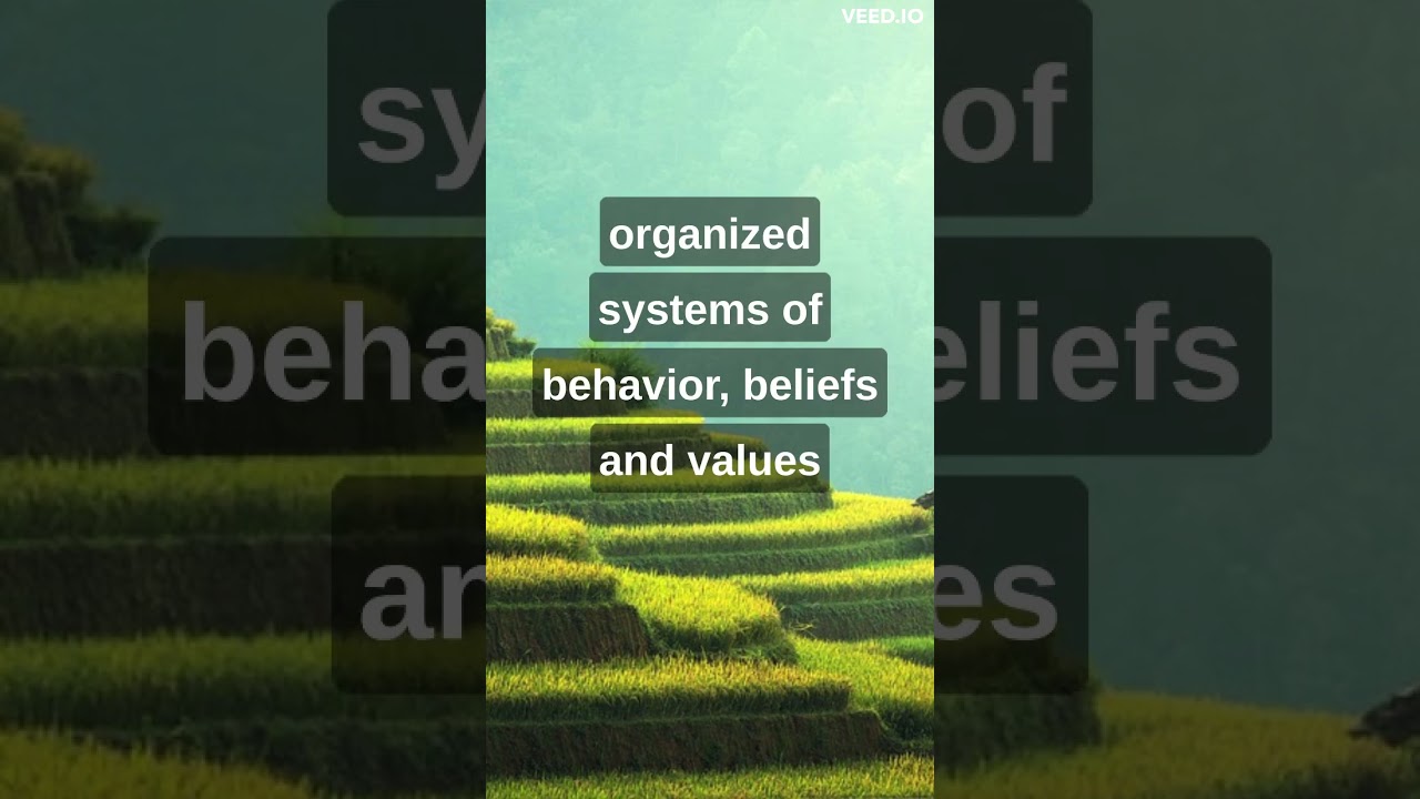 Social institutions are organized systems