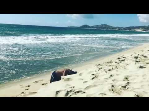 Bboy neguin - Redbull BC one All start 2018