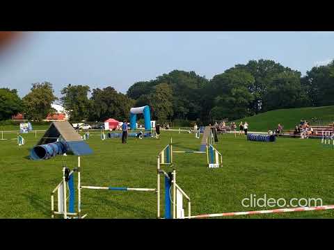 2021.09.11 Agility A1 exam (second point to A2) - Wrocławskie Zawody Agility