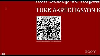 Akreditasyon Denetimlerinde Kök-Sebep ve Kaplam (Diğer Alanlara Yayılma) Analizi