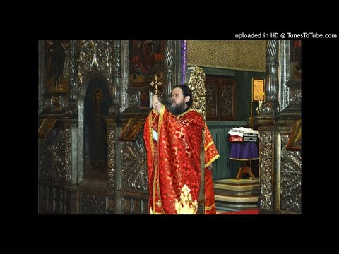 Părintele Teofil Roman    13.07.2014      Vindecarea demonizaților din ținutul gadarenilor