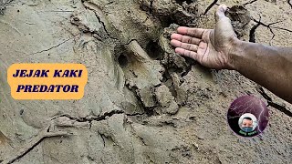 Download lagu JEJAK KAKI SANG PREDATOR mp3