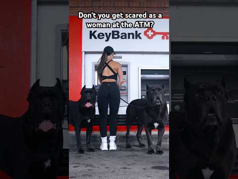Cane Corsos Protect Woman at ATM #crime #dog #shorts