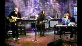 NRBQ•  Immortal For A While/Fraction of Action (Live, VH-1,1990) • Stereo