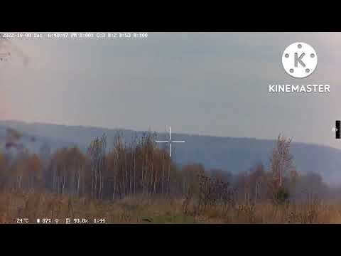 Егерь булка с передним взводом и цифровой прицел Wanney 50-2. Отстрел на 100 м. Пули H&N Slug