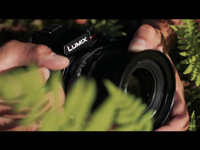 LUMIX S 24mm F1.8 | Sシリーズ 交換レンズ | 商品一覧 | LUMIX
