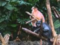 A Day At The Bronx Zoo With Rick Sammon