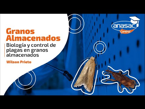 9° SEMINARIO INTERNACIONAL DE CONTROL DE PLAGAS | GRANOS ALMACENADOS - WILSON PRIETO