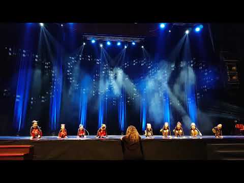 Pes a Mačka - Vo víre tanca 2018