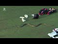 Unexpected Visitor Snake Joins LPL Match Accreditation Card Questioned