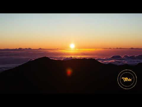 INFMS - FORGIATOS (w/ RXIMV)