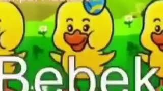 Download lagu Ayam bebek entok entok kan :-) positif mp3 Download lagu Ayam bebek entok entok kan :-) positif mp3