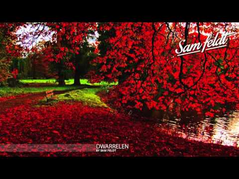 Sam Feldt - Dwarrelen (Mixtape)