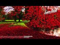 Sam Feldt - Dwarrelen (Mixtape) 