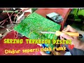 Perbaiki Tv TCL Tabung Lampu Led Hanya Kedip Kedip Tidak Keluar Gambar Dan Suara