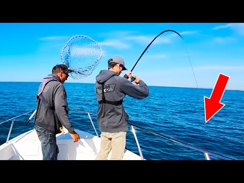 Big Fish Caught From A Small Boat! (Carl vs Alex Ep 4)