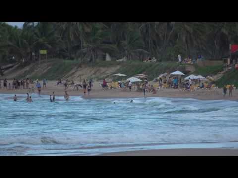 Videos del Iberostar Waves Bahia 5★ en Praia do Forte, BrasilVer MásVerPrecios17CerrarConsulta por Whatsapp 🇦🇷BookingTripadvisorExpediaAgodaTravelocityOrbitzPricelineTripSkyscannerDespegarKayakHotelesBestdayDestiniaTrivagoAlmundoTui