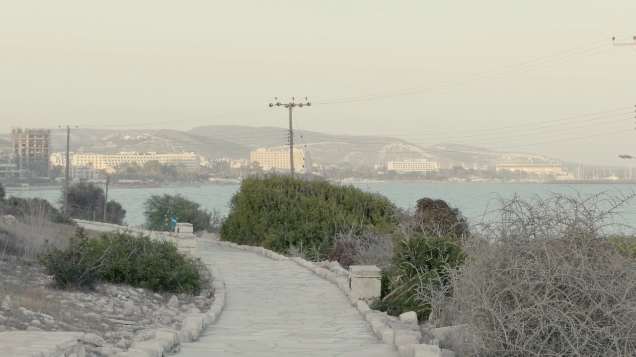 MetaQuotes champ boxing commercial