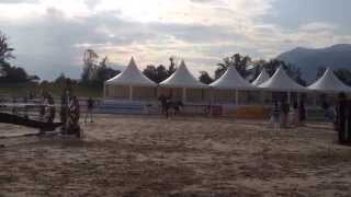 Video von Carisma Can Fly