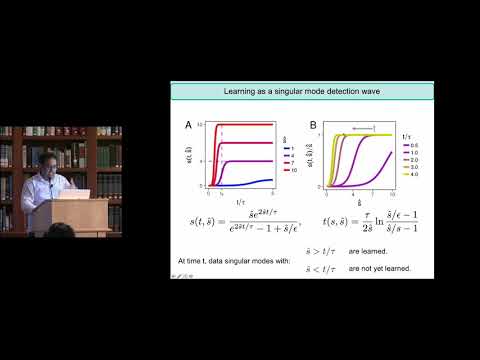 Surya Ganguli - Deep Learning Theory: From Generalization to the Brain