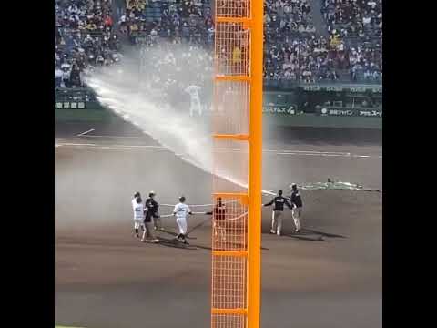 園芸 クリケット