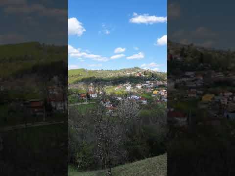 Pucheni Dâmbovița 2021