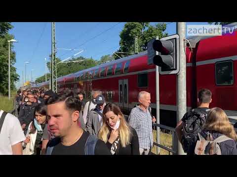 Zwei Wochen Betriebsferien bei Tesla?