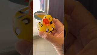 Found a duck #cruisedestination #cruise #travel #bahamas