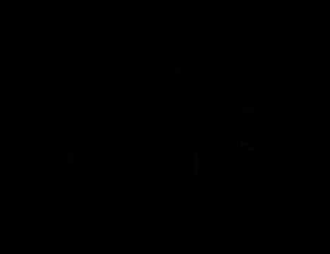 Mark Dwayne barbershops