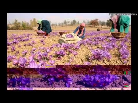 Andrew Ashong - Flowers (Signature Sound)