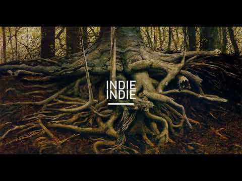 The Trees and The Wild - Our Roots