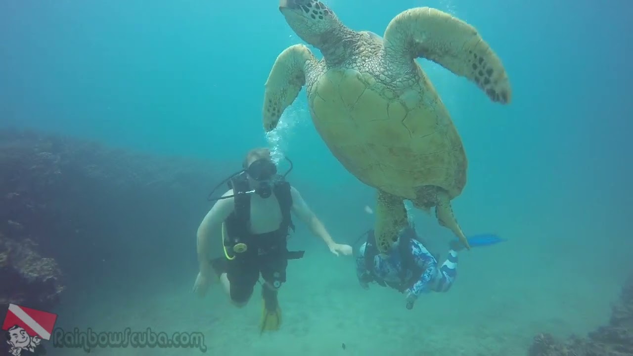 Boat deck at sunrise off Honolulu before the Horseshoe Reef dive