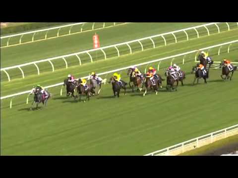 Randwick Race 3 April 9th 2016 - PROVINCIAL CHAMPIONSHIPS FINAL