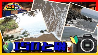 カメラ素人が自分の写真眺める動画【ISOと磯】