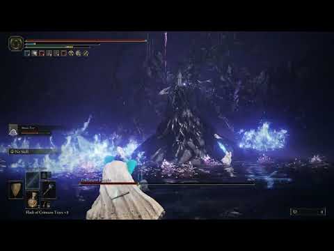 Putrescent Knight vs Mage | Boss Battle | Elden Ring Shadow of The Erd Tree