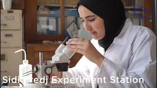 ENSSMAL A Historical School Modern Infrastructure