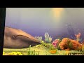 Wonder Pets Swallowed A Whale