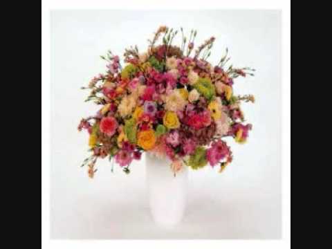 Das Blut An Meinen Händen - Tocotronic