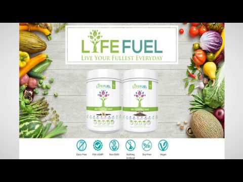 Lyfe Fuel Vegan Meal Replacement Shake Review