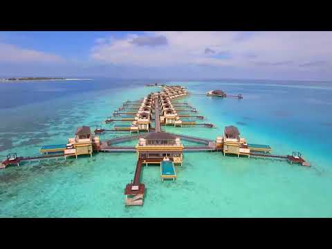 Fly Away to MALDIVES // natural beauty // Alien's House