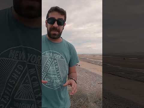 THIS IS HOW THE NORMANDY LANDINGS WERE