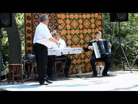 Iacob Costache Zaval live 2013