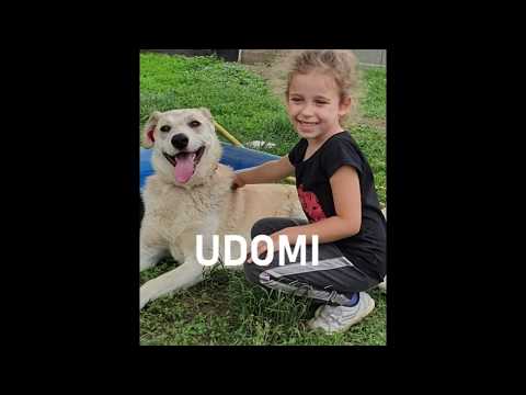 Srpsko društvo za zaštitu životinja - Pirot, Držina