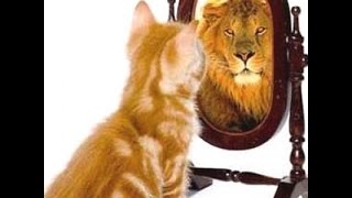 Ask An Alchemist   What is the Ego