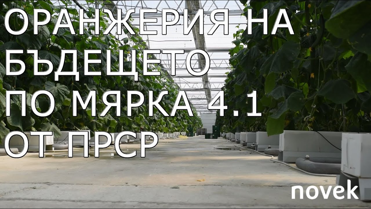 Оранжерия - мярка 4.1 от ПРСР 2020