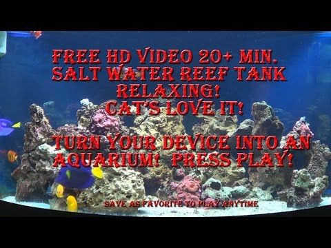 Fish & Reefs PC