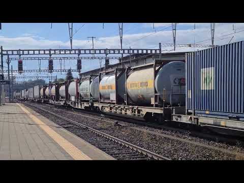 2 BLS Re 465 mit Güterzug in Burgdorf