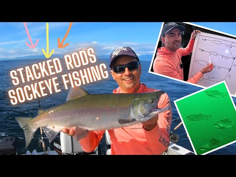 Double rod downrigger setup with dummy flashers