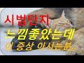 이 증상에 대해 아시는분 댓글좀